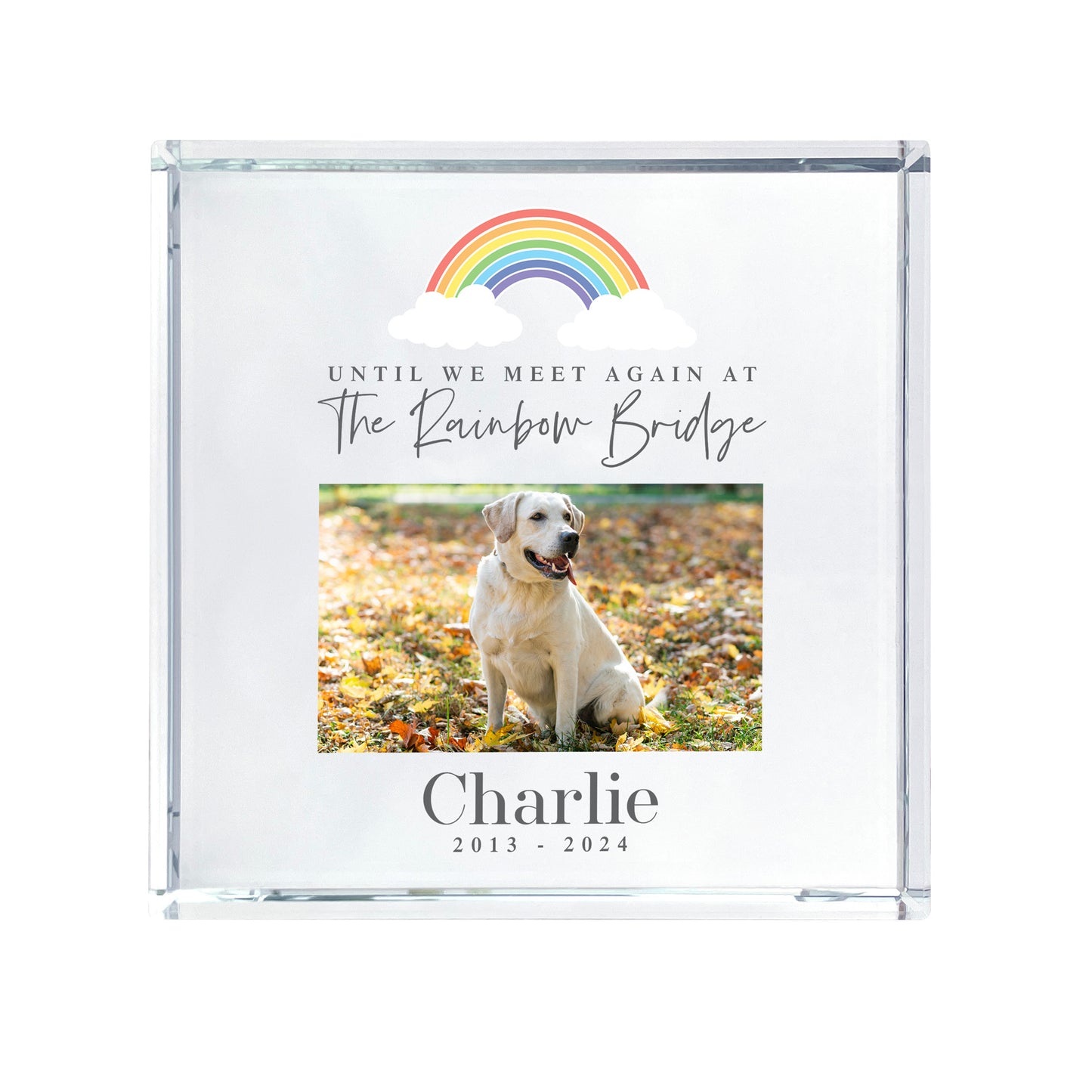 Personalised Pet Memorial Until We Meet Again Photo Crystal Token