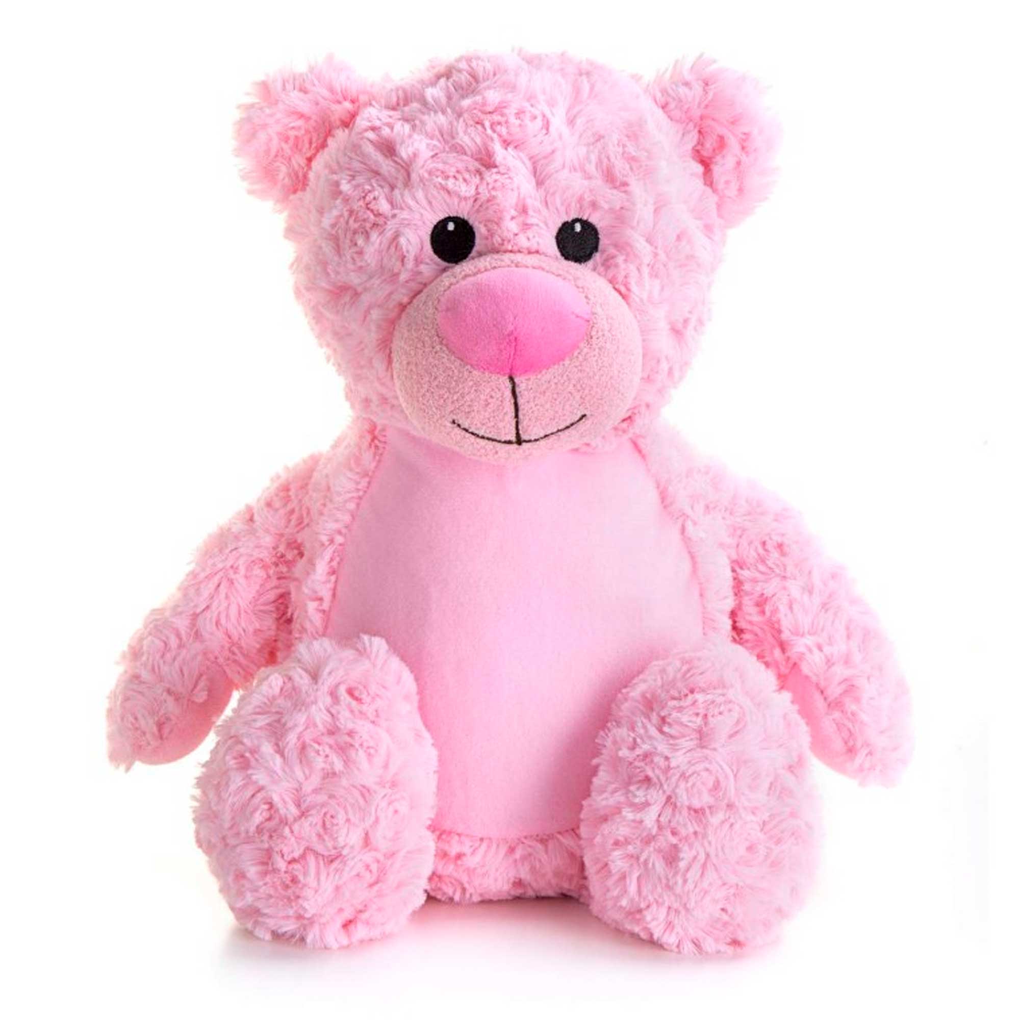 Teddy bear with deals personalised voice message