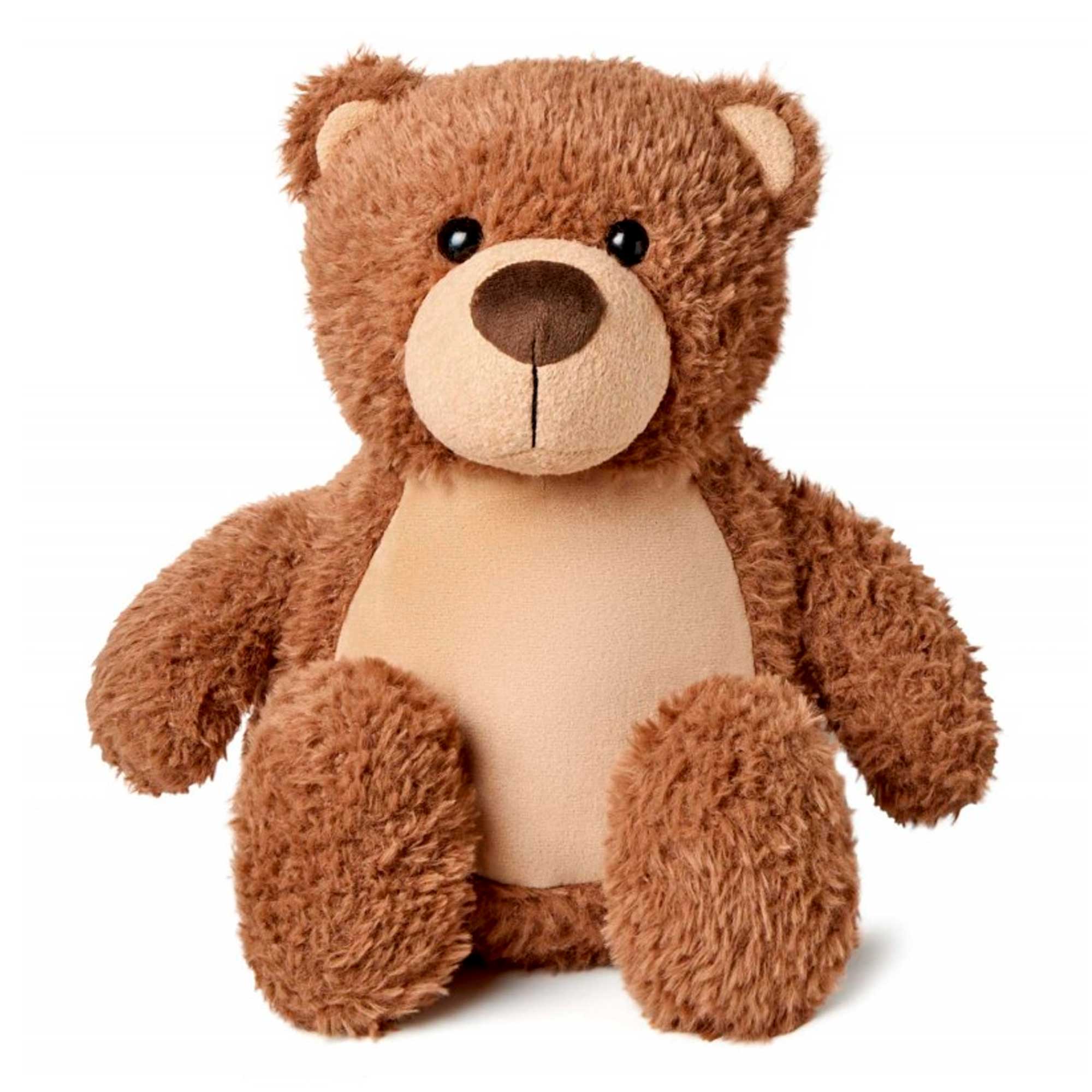 Voice in 2024 teddy bear