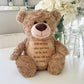 Personalised Record-A-Voice Teddy Bear - Light Brown