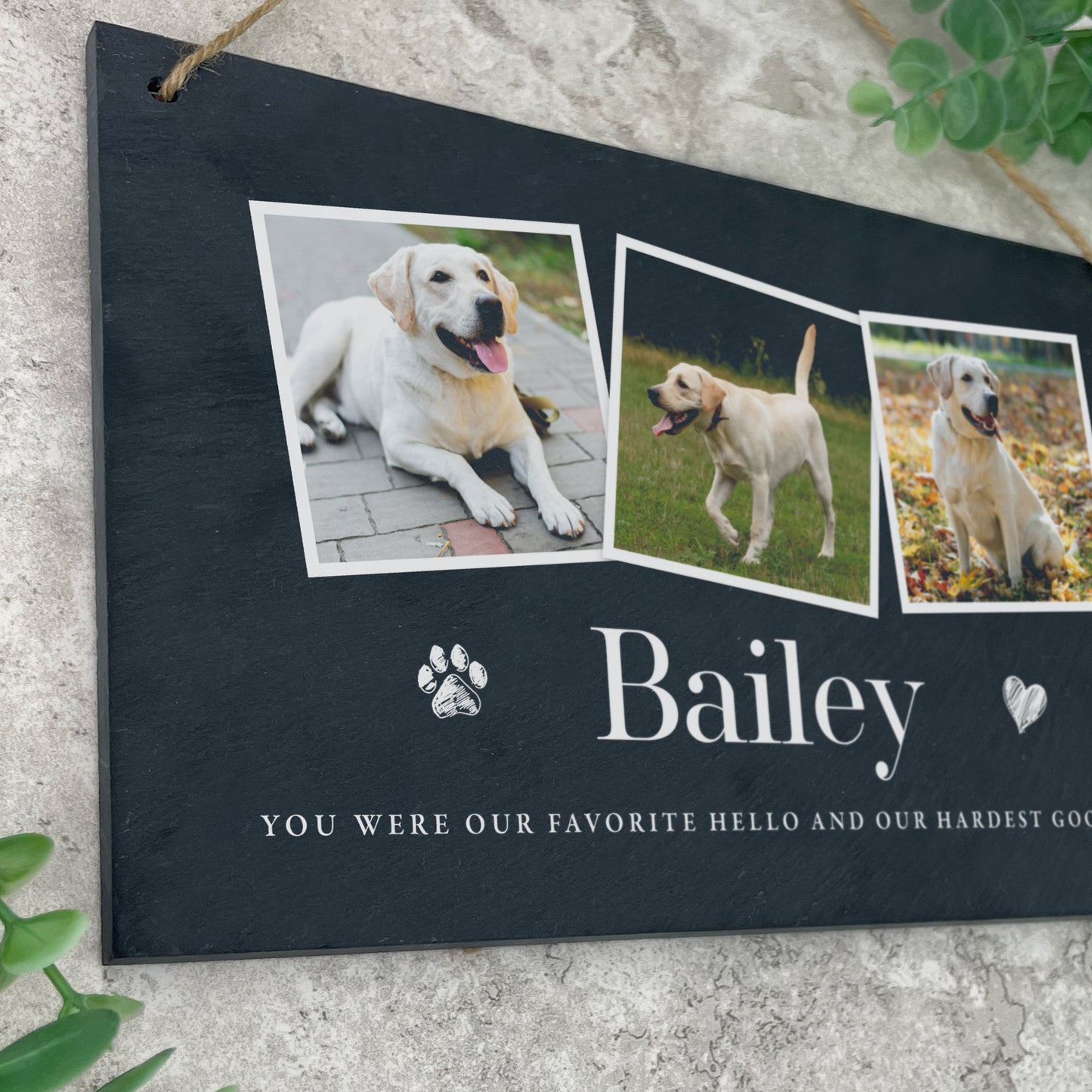 Personalised Pet Photo Slate Hanging Plaque 25 x 15cm