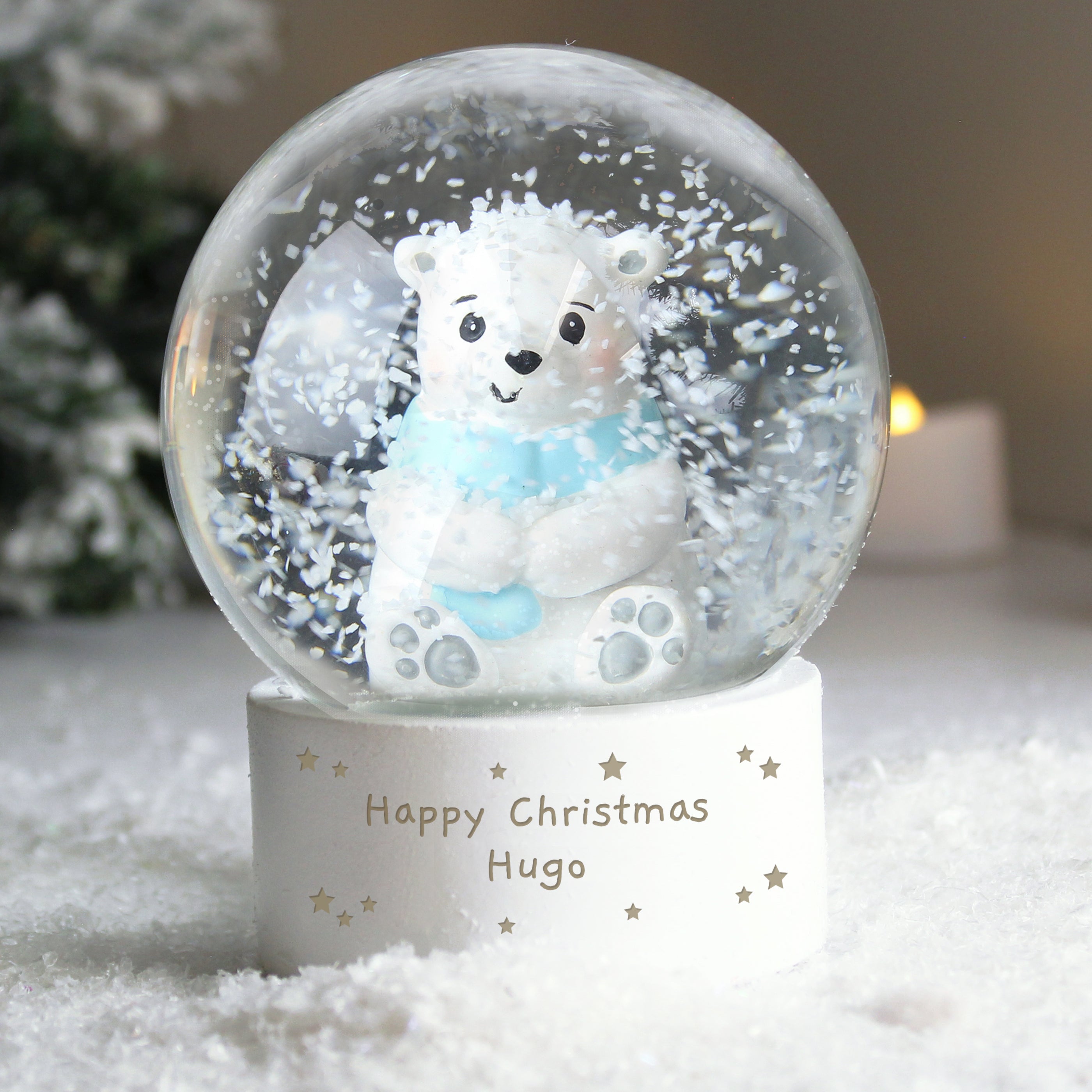 Picture deals snow globe