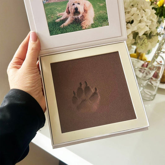 Paw Pad Impression Keepsake