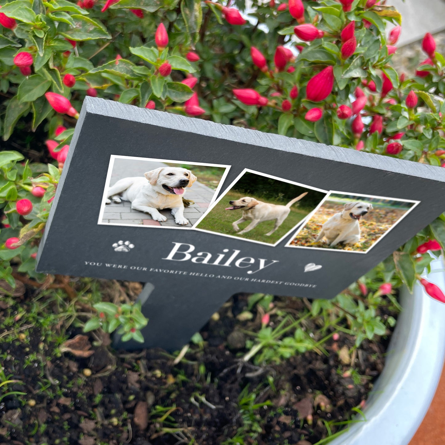 Personalised Large Pet Photo Memorial Slate Plant Marker