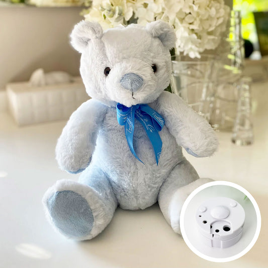 Record-A-Voice Blue Teddy Bear