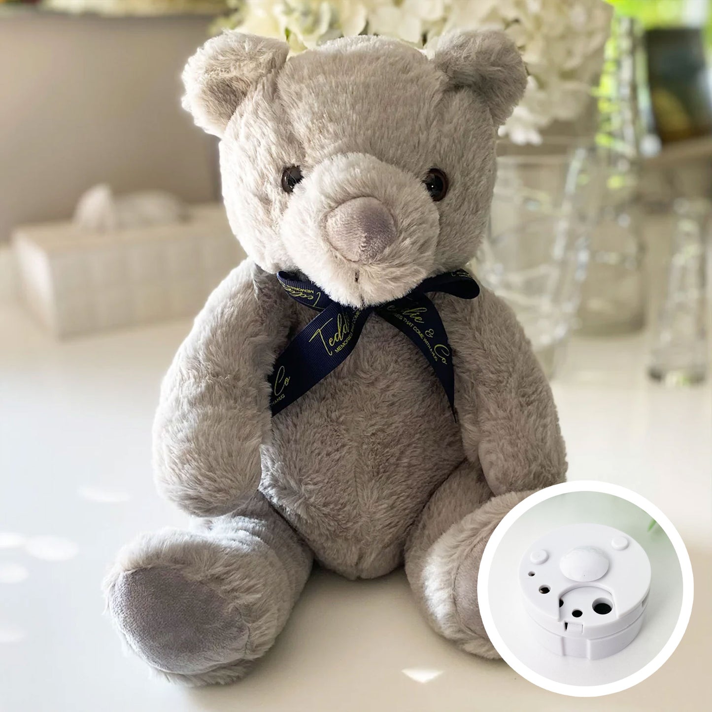 Record-A-Voice Grey Teddy Bear