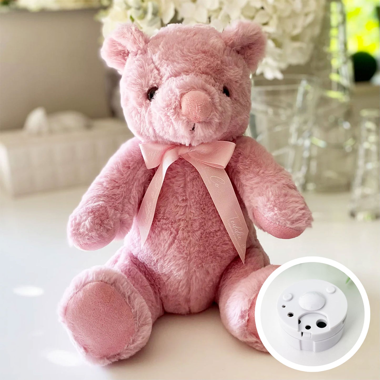 Record-A-Voice Pink Teddy Bear