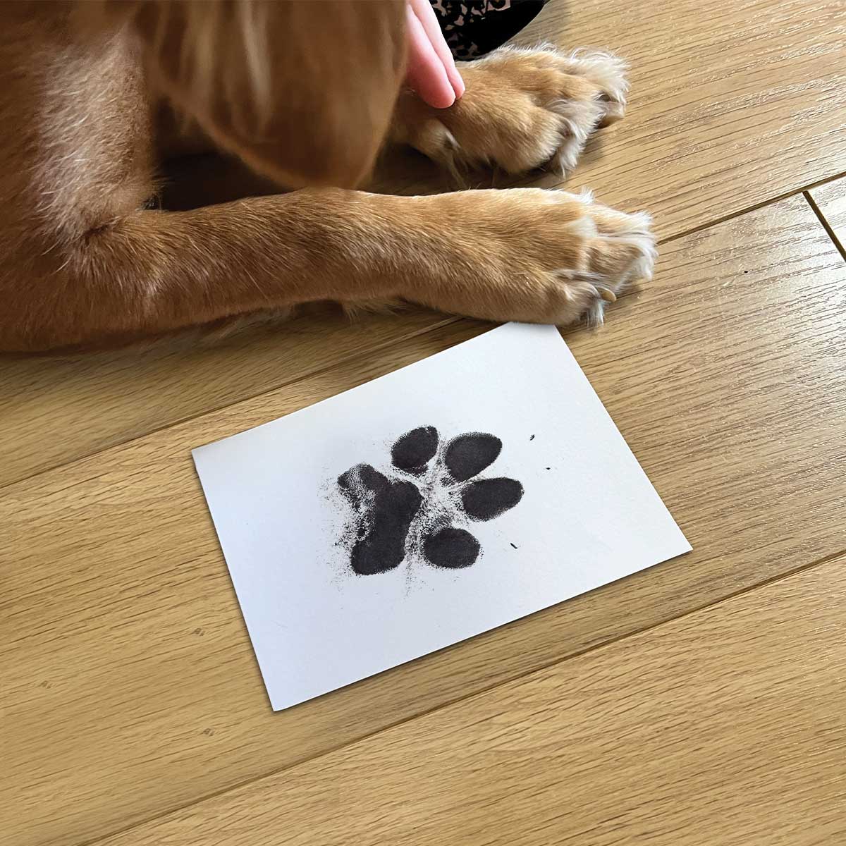 Dog paw hotsell ink pad